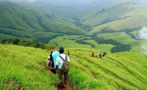 What to Expect on the Mandalpatti Jeep Safari: