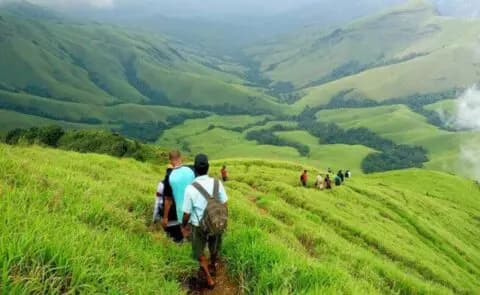 What to Expect on the Mandalpatti Jeep Safari: