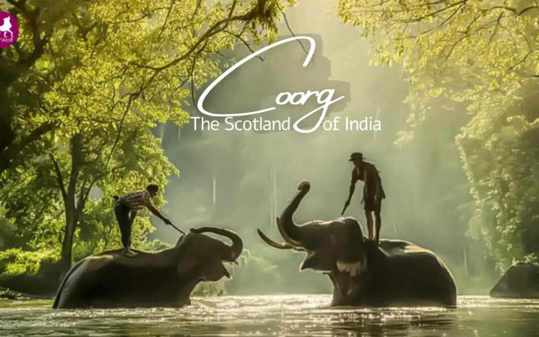 Mangalore to Coorg taxi service