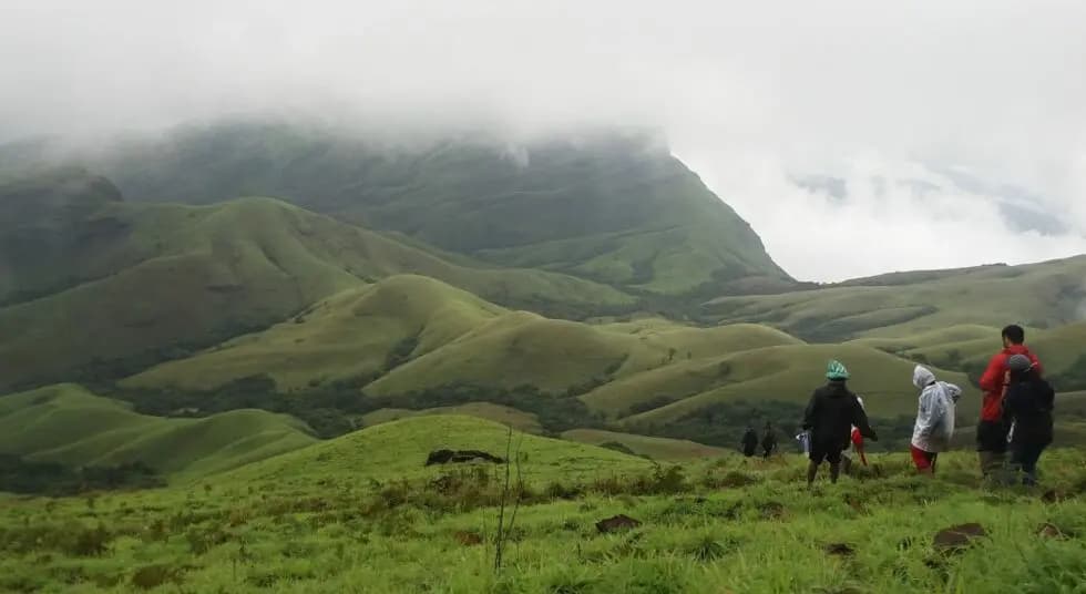 Exploring the Scenic Route: The Best Cab Service from Mangalore to Coorg