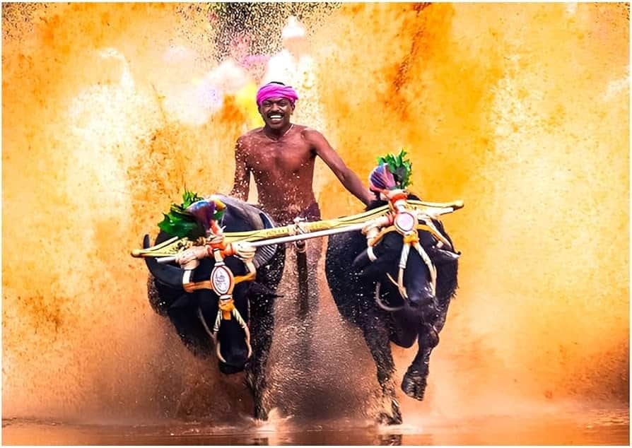 Travels in Mangalore – Best Travels in Mangalore