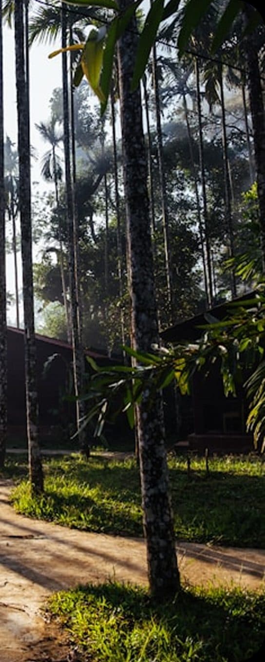 Coorg 3 Day Trip