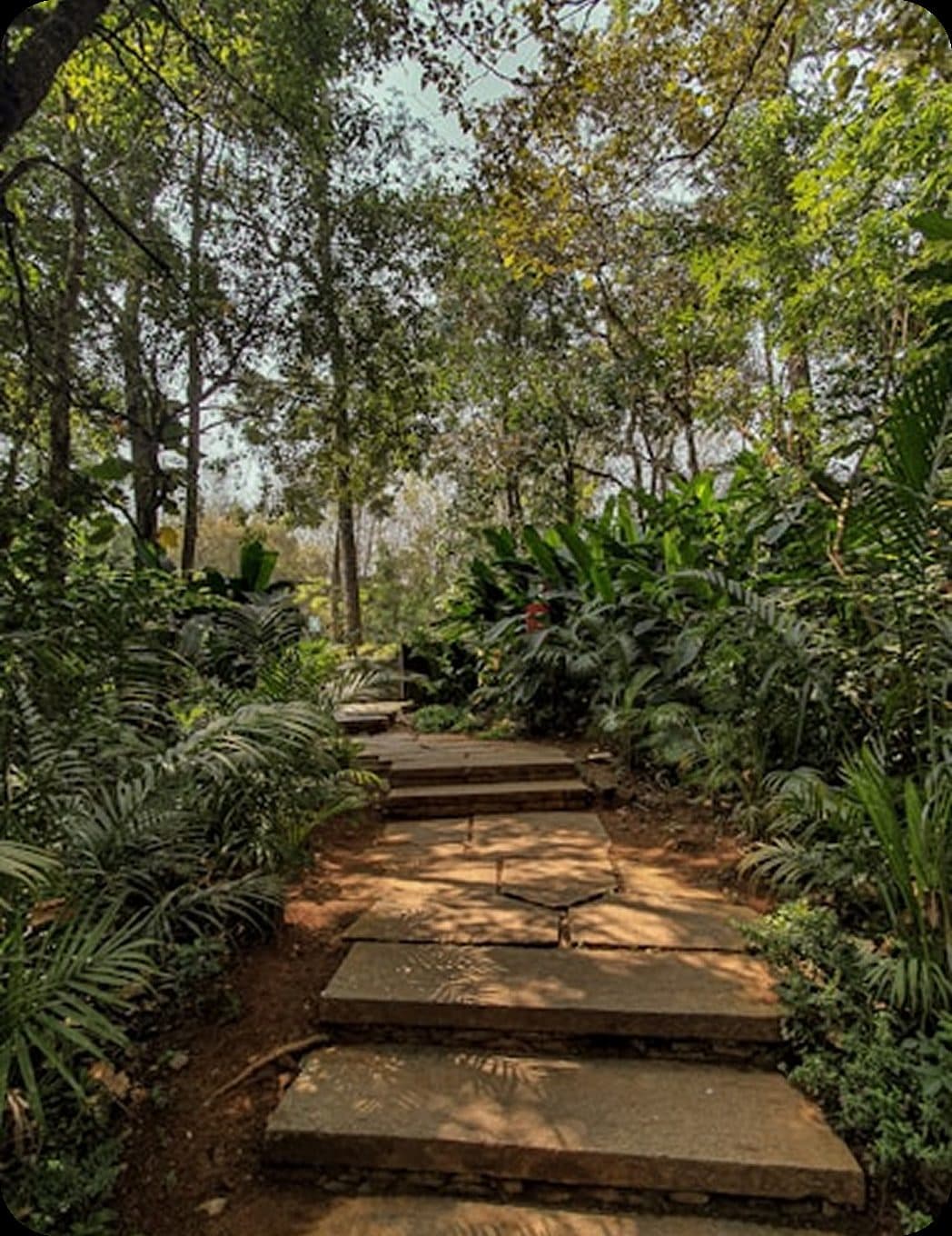 Coorg path