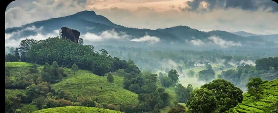 Mangalore To Coorg cab